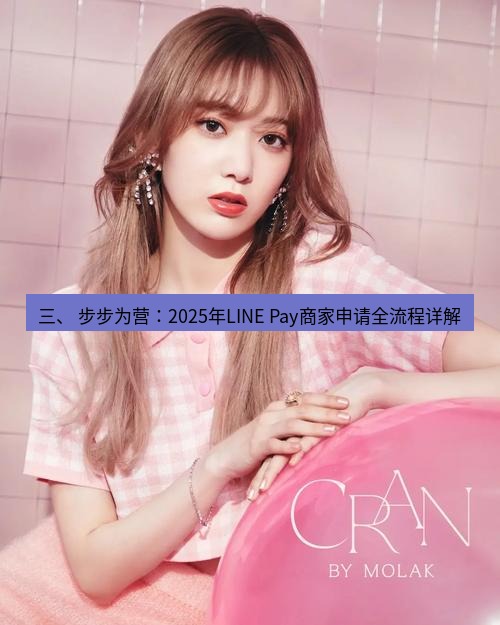 line官网 三、 步步为营：2025年LINE Pay商家申请全流程详解
