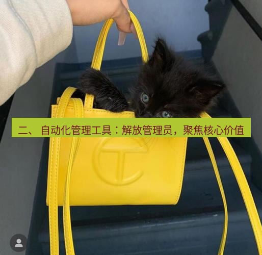 line官网 二、 自动化管理工具：解放管理员，聚焦核心价值