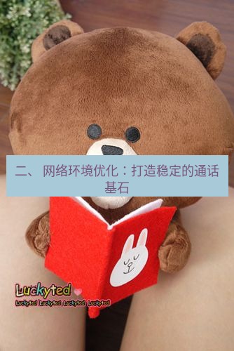 line官网 二、 网络环境优化：打造稳定的通话基石