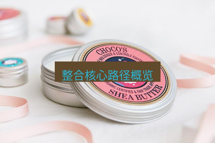 line官网 整合核心路径概览