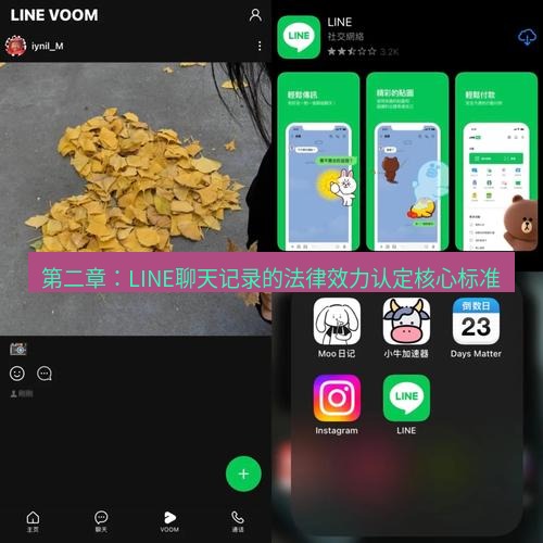 line下载 第二章：LINE聊天记录的法律效力认定核心标准