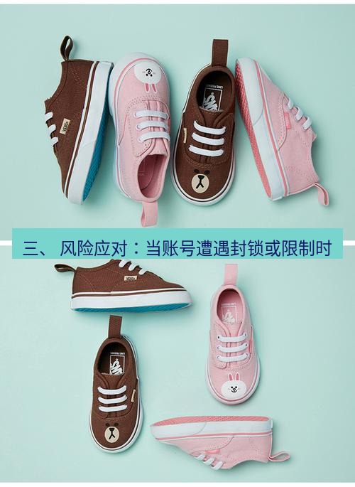 line官网 三、 风险应对：当账号遭遇封锁或限制时