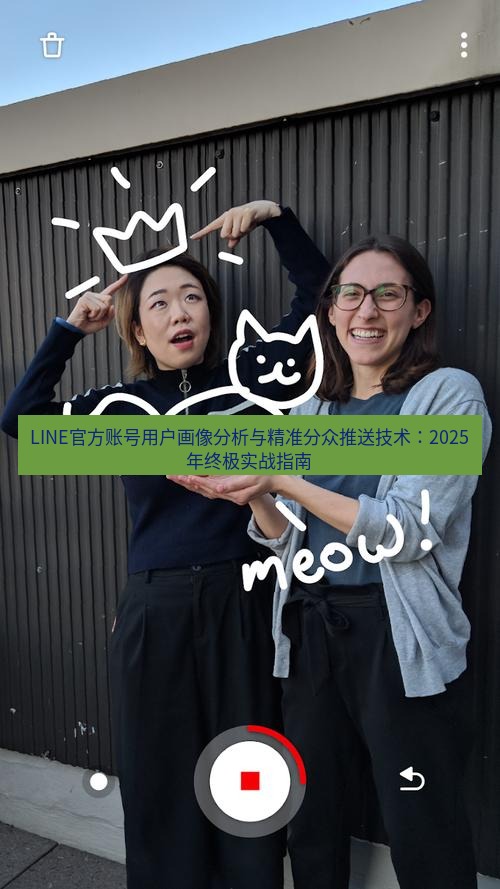 line官网 LINE官方账号用户画像分析与精准分众推送技术：2025年终极实战指南