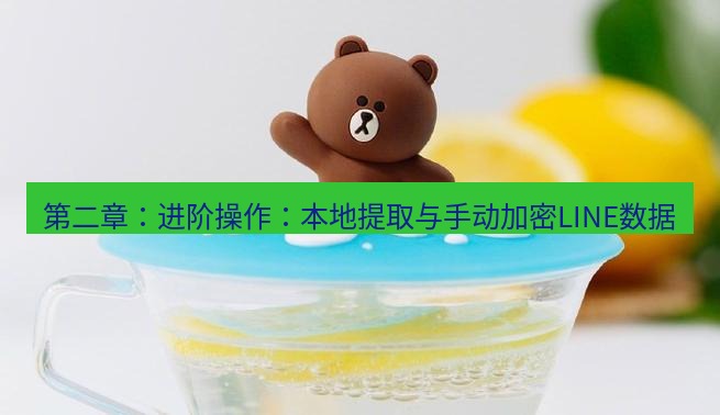 line官网 第二章：进阶操作：本地提取与手动加密LINE数据