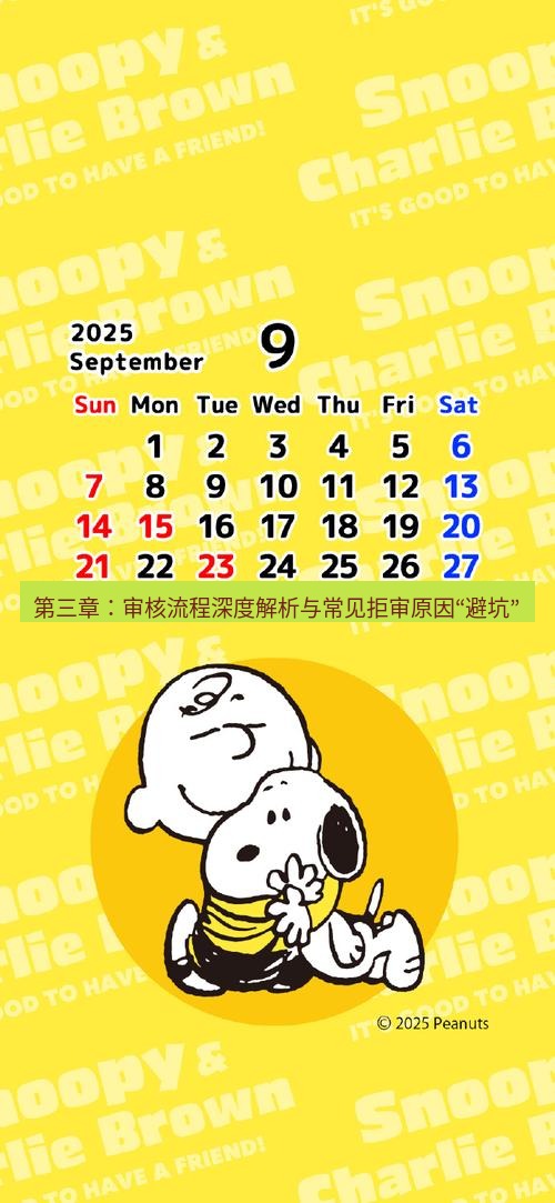 line官网 第三章：审核流程深度解析与常见拒审原因“避坑”