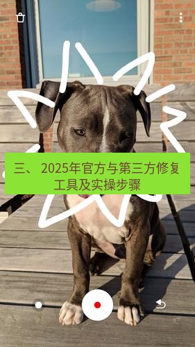 line官网 三、 2025年官方与第三方修复工具及实操步骤