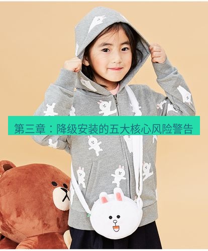 line官网 第三章：降级安装的五大核心风险警告