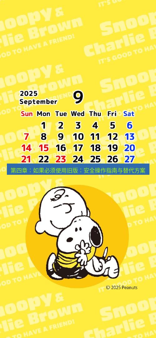 line官网 第四章：如果必须使用旧版：安全操作指南与替代方案