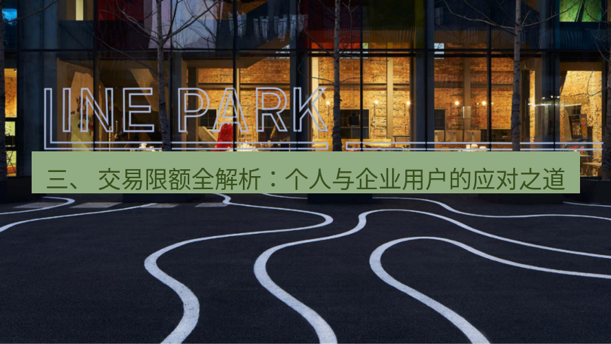 line官网 三、 交易限额全解析：个人与企业用户的应对之道