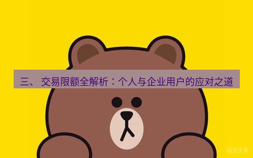line下载 三、 交易限额全解析：个人与企业用户的应对之道