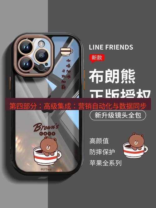line下载 第四部分：高级集成：营销自动化与数据同步