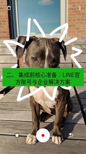 line官网 二、 集成前核心准备：LINE官方账号与企业解决方案