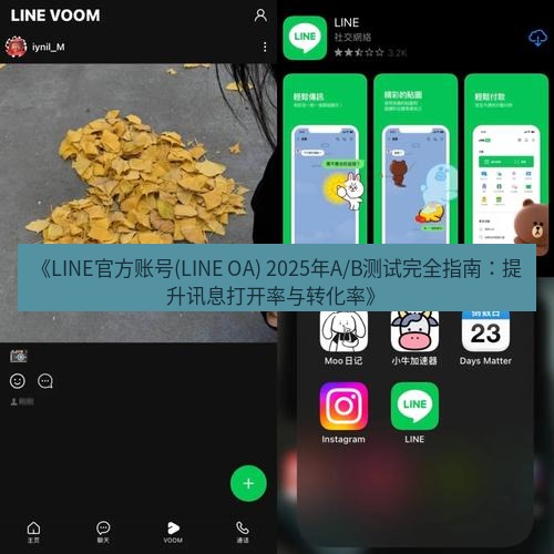 line下载 《LINE官方账号(LINE OA) 2025年A/B测试完全指南：提升讯息打开率与转化率》