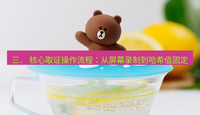 line官网 三、 核心取证操作流程：从屏幕录制到哈希值固定