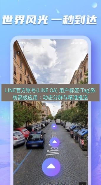line官网 LINE官方账号(LINE OA) 用户标签(Tag)系统高级应用：动态分群与精准推送