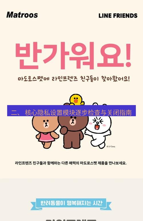 line下载 二、 核心隐私设置模块逐步检查与关闭指南