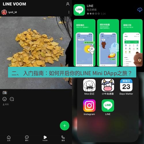 line下载 二、 入门指南：如何开启你的LINE Mini DApp之旅？
